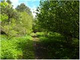 Planina (Dolnja Planina) - Hunting cottage on Planinska gora